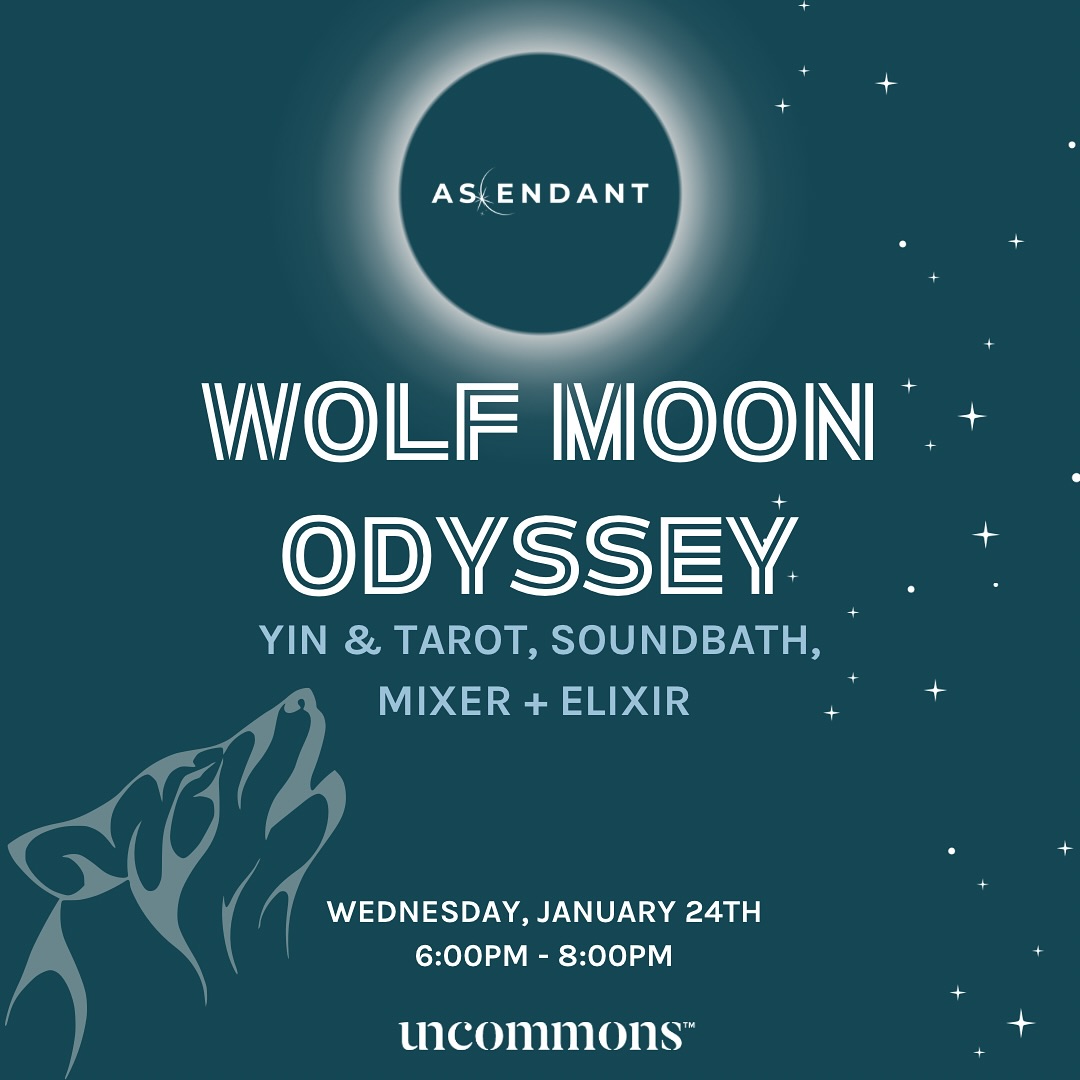 Wolf Moon Odyssey