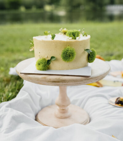 Serene Lake, Sweet Cake on the park